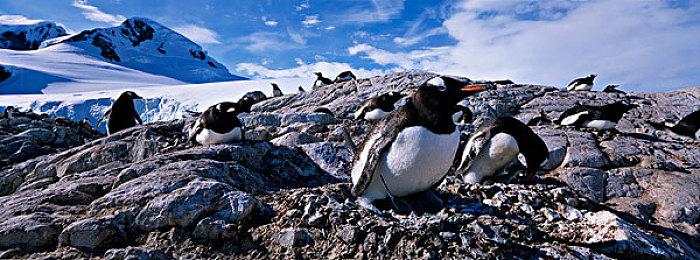 3D平台冒险解谜游戏《汉娜》现已在Steam平台推出试玩Demo 11月1日正式发售