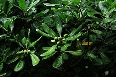 发售仅两天 类塔科夫游戏《灰区战争》销量已突破40万