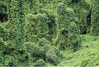 没有最差只有更差 《星鸣特攻》首发表现甚至“不如预期”